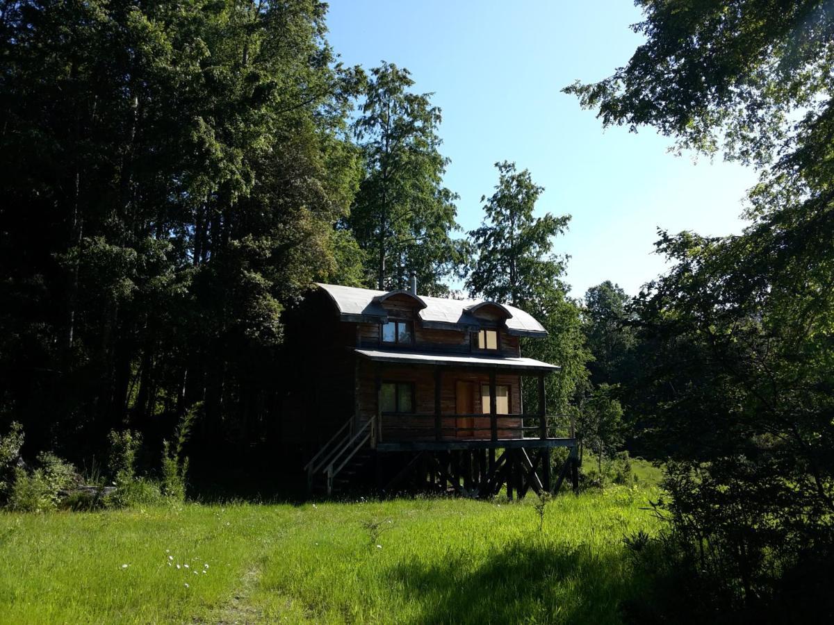 Huilo Huilo Cabanas Del Bosque Puerto Fuy Exterior photo