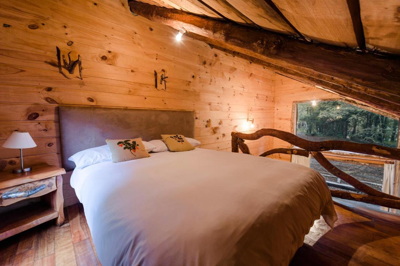 Huilo Huilo Cabanas Del Bosque Puerto Fuy Room photo